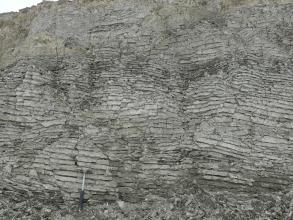 Detailaufnahme eines fein geschichteten, hell- bis mittelgrauen Gesteins. Die Schichten verlaufen horizontal.