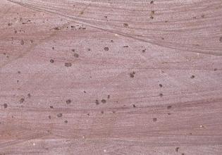 Der als Rohstoff gewonnene Sandstein ist ein meist mittelkörniger, hell- bis mittelroter Feinsandstein. 