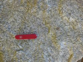 Nahaufnahme eines Gesteins mit lagigen Strukturen aus hellen und dunklen Mineralaggregaten. Das Gestein ist teilweise grünlich angewittert. Auf dem Gestein liegt in der Bildmitte ein rotes Taschenmesser.