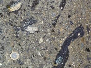 Detailaufnahme eines Gesteins: In einer grünlich grauen, festen Grundmasse befinden sich helle Bruchstücke und längliche, dunkle, glasige Einschlüsse. Links unten befindet sich eine Münze als Maßstab.