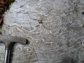 Nahaufnahme eines stark verfalteten hell- bis mittelgrauen Gesteins. In der linken unteren Ecke liegt ein Hammerkopf als Maßstab.