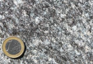 Nahaufnahme einer fleckigen Gesteinsoberfläche. Die Farbskala der Flecken reicht von weiß über grau bis zu schwarz. Eine Euro-Münze links unten dient als Größenvergleich.