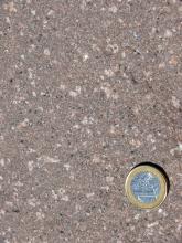 Nahaufnahme einer feinkörnigen, rötlich grauen Gesteinsoberfläche. Dazu sind auch hellere Einschlüsse erkennbar. Rechts unten liegt eine Euro-Münze.
