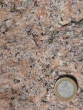 Nahaufnahme einer kristallinen Gesteinsoberfläche, rötlich braun bis grau mit dunkleren Sprenkeln. Rechts unten dient eine Euro-Münze als Größenvergleich.
