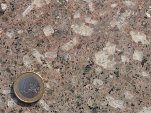 Nahaufnahme einer polierten Gesteinsoberfläche, Farbe rötlich grau mit größeren weißlichen Einschlüssen. Links unten liegt eine Euro-Münze.