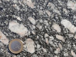 Nahaufnahme einer polierten Gesteinsoberfläche, Farbe dunkelgrau mit größeren weißlichen Einschlüssen. Links unten liegt eine Euro-Münze.
