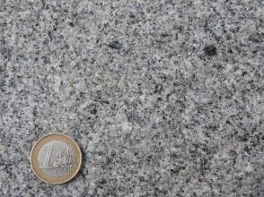 Nahaufnahme einer feinkörnigen grauen Gesteinsoberfläche. Links unten dient eine Euro-Münze als Größenvergleich.