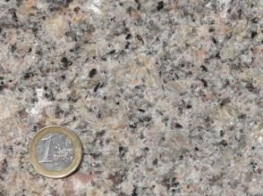 Nahaufnahme einer kristallinen, gelblich grauen Gesteinsoberfläche. Links unten dient eine Euro-Münze als Größenvergleich.