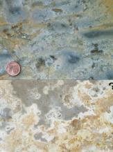 Ansicht zweier unterschiedlicher Gesteinsproben: Oben bläulich grau mit grünen Schlieren und dunklen Einschlüssen, unten grau und hellbraun mit weißlichen Trennrändern. Eine kleine Cent-Münze oben zeigt die Größenverhältnisse an.