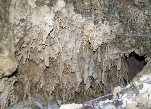 Blick in das Innere einer Höhle mit gelblich grauen Stalaktiten, die von der Höhlendecke abwärts wachsen.