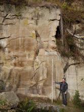Blick auf eine gelblich braune, rechts unterbrochene und gezahnte Steinbruchwand, mit Bewuchs oben und rechts. Rechts steht zudem ein Mann und hält eine Messlatte hoch.