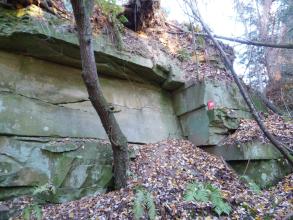 Teilansicht einer alten Steinbruchwand mit grünlich grauen Steinbänken, Laub- und Erdhaufen, dünnen Baumstämmen, Ästen und Zweigen.