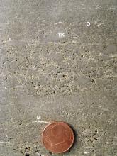 Nahaufnahme einer gelblich grauen Gesteinsoberfläche mit schaumig-poröser Struktur. Mittig unten dient eine Cent-Münze als Größenvergleich.