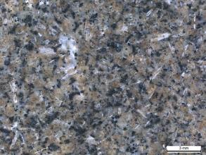 Nahaufnahme einer polierten Gesteinsplatte. In der hellbraunen Oberfläche sind sowohl weißliche als auch schwarze Einschlüsse zu erkennen.