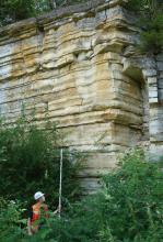 Teilansicht einer hohen, am Fuß zugewachsenen Steinbruchwand mit waagrecht gebanktem, plattigem Gestein in gelblich grauer Farbe. Links hält ein Mann mit Schutzweste und Helm eine Messlatte an das Gestein.