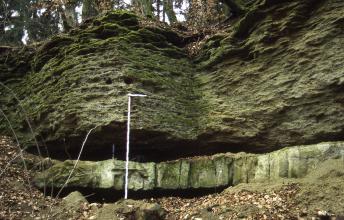 Blick auf eine alte Steinbruchwand mit grünlich grauer Oberfläche durch Moosbewuchs. Im unteren Bildteil ein kleinerer und ein größerer Hohlraum, waagrecht verlaufend. Der obere Teil der Steinwand wölbt sich links nach außen, rechts nach innen.