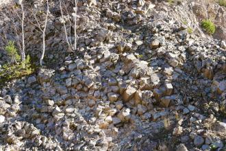Das Bild zeigt teils loses, bröckeliges beiges Gestein mit mehreckiger Struktur. Das Gestein verteilt sich ähnlich einer Lawine an einem Hang.