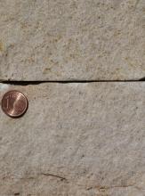 Nahaufnahme zweier Gesteinsplatten, mit waagrechter Fuge. Farbe gelblich braun, Oberfläche fleckig und rau. Eine Cent-Münze links am Rand dient als Größenvergleich.