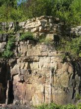 Blick auf eine hohe Steinbruchwand aus rötlich braunem bis grauem Gestein. Im oberen Teil wachsen Sträucher, auf der Kuppe wachsen Bäume.
