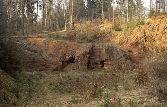 Blick in einen stark zugewachsenen Steinbruch am Rand eines Waldes. In der Bildmitte eine niedrige Gesteinswand, bräunlich grau mit mehreren höhlenartigen Durchlässen. Rechts erhebt sich eine zweite, höhere Wand.