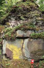 Blick auf eine im oberen Teil stark zugewachsene Steinbruchwand. Im unteren Teil sind noch große, teils gelblich verfärbte Blöcke sichtbar.