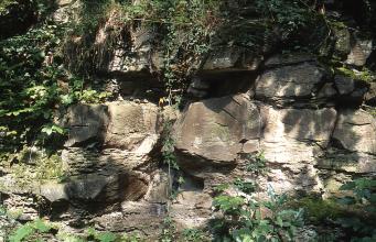 Blick auf eine stark überwachsene Gesteinswand. Oberhalb von größeren Blöcken sind auch Nischen und Hohlräume erkennbar.
