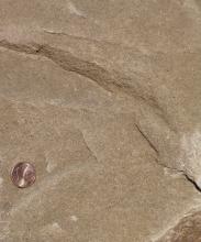 Nahaufnahme einer Gesteinsoberfläche mit flachen Erhebungen, Farbe hellbraun mit feinen dunklen Sprenkeln. Links dient eine aufgelegte Cent-Münze als Größenvergleich.