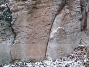 Teilansicht einer bräunlichen bis grauen Gesteinswand. Über einem glatten, etwas abgesetzten Sockel ist das Gestein gefurcht und löchrig. Am Fuß liegt von Schnee bedecktes Laub.