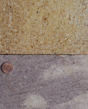 Nahaufnahme zweier übereinandergestellten Gesteinsplatten: Oben gelblich und großporig-kieselig, unten dichter und rötlich grau mit helleren Schlieren. Eine Cent-Münze links am Bildrand dient als Größenvergleich.