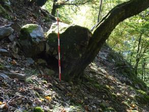 Blick auf einen steilen, nach rechts unten abfallenden Waldhang. In der Bildmitte lehnen sich zwei große Felsblöcke an einen schief stehenden, nach rechts geneigten Baumstamm.