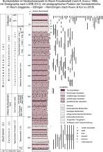 Grafische Darstellung der Abfolge von Schichten und Gesteinen des Buntsandsteins im Nordschwarzwald anhand eines Säulenprofils. 
