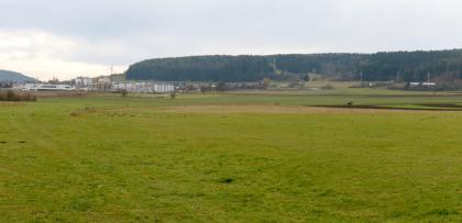 Donautal nördlich von Tuttlingen Das Bild zeigt flaches Grünland mit einigen Ackerstreifen im Mittelgrund. Von rechts laufen bewaldete Hänge bis fast zum linken Rand. Im Durchlass sind die Häuser einer größeren Stadt erkennbar.