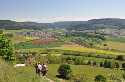 Blick vom Hohenkarpfen nach Süden ins Eltatal Von erhöhtem Standpunkt blickt man auf eine weite, wellige Ebene mit zahlreichen Acker- und Grünlandflächen. Zwei Ortschaften links und rechts sowie bewaldete Höhenzüge liegen im Hintergrund.