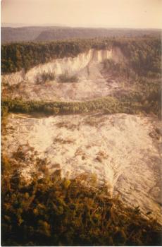 Luftbild des Bergrutsches (Foto: Fundinger, 1985) Aus großer Höhe aufgenommenes Bild, das die hellen Flächen eines abgerutschten Berghanges sowie die noch stehenden Waldflächen an den Rändern und zwischen den Rutschmassen zeigt.