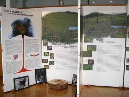 Blick auf mehrere bebilderte Schautafeln, aufgestellt im Naturzentrum Kaiserstuhl. Neben der vulkanischen Geschichte gibt es auch die Themen „Halbtrockenrasen“ und „Reben“.