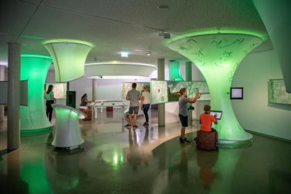 Blick ins Innere der von mehreren Interessierten besuchten Museumsausstellung MOOR EXTREM in Bad Wurzach. Der Museumsraum ist durch trichterförmige Lichtquellen grünlich erhellt.
