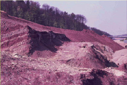 Rutschschollen in der Einschnittsböschung am Wildenberger Hang (Foto: Brodbeck, 2010) Im Vordergrund sind zwei Terrassen sichtbar mit offen anstehendem, rötlichem Gestein. Im Hintergrund steht auf dem linksseitigen Hang ein Mischwald.