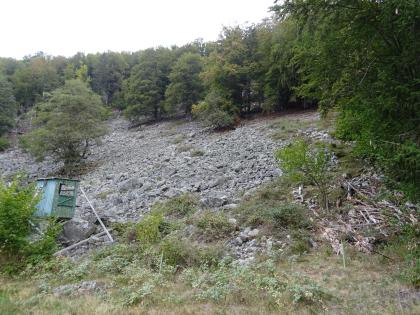 Blockschutt-Halde bei Todtnau-Gschwend im Südschwarzwald Aufwärts gerichteter Blick auf einen steilen, zum Hintergrund hin ansteigenden, bewaldeten Berghang. Abgerutschte Gesteinsmassen bedecken in der Bildmitte einen Teil des Hanges und haben Bäume umgeknickt. Auch ein kleiner Unterstand links ist betroffen.