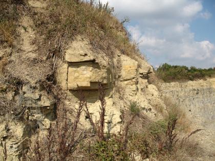 Dolomitsteine des Mittleren Muschelkalks, Werbach Das Bild zeigt einen gelblich braunen Gesteinshang, zerklüftet und bewachsen. Rechts im Hintergrund schließt sich eine Steinbruchwand an.