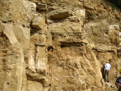 Quaderkalke des Oberen Muschelkalks, Krensheim Blick auf eine steil aufragende, aus gelbbraunen Quadern bestehende Gesteinswand.