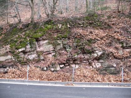 Rotliegend-Tuffe zwischen Schriesheim und Wilhelmsfeld im Odenwald Das Bild zeigt offenliegendes Gestein an einer von Wald bestandenen Böschung.