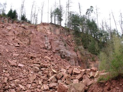Unterer Buntsandstein, Eberbach Blick auf einen rötlich braunen Hang mit größeren Steinblöcken oben und einer Schutthalde aus kleineren Steinen unten. Kuppe und rechte Seite des Hanges sind mit Bäumen bewachsen.