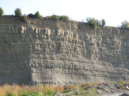 Oberer Muschelkalk, Künzelsau-Garnberg Blick auf eine hohe Steinbruchwand mit größeren und kleineren Schichten grauem bis gelblich grauem Gestein. Am Boden und auf der Kuppe zeigt sich Bewuchs.