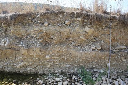 Junges Flussbettsediment mit einer Lage aus feinkörnigem Auensediment am Grimmbach südlich von Braunsbach Teilansicht einer mit Gestein durchsetzten Böschung, an der Kuppe leicht gerundet. Am Fuss der Wand ist eine Lage Schotter erkennbar.