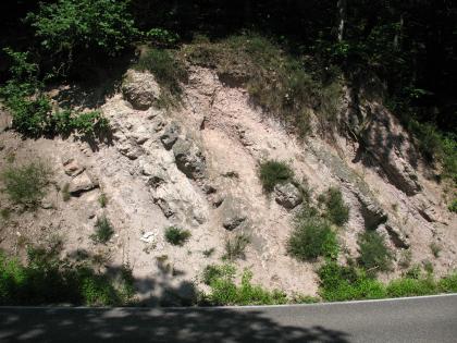 Tuffitische Sandsteine des Rotliegend bei Baden-Baden-Lichtental Aufschluss an einer Straße aus feinem, rötlichen Gestein. Der Aufschluss ist zum Teil mit kleinen Sträuchern bewachsen. Darüber befindet sich Wald. Von links wirft ein Baum seinen Schatten auf das Bild.
