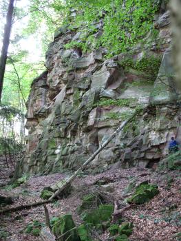 Tigersandstein am Merkur bei Baden-Baden Das Bild zeigt eine hohe, aus großen Blöcken zusammengesetzte Felswand. Das grünlich graue Gestein wird rechts oben teilweise von Baumästen verdeckt. Ein abgestürzter Baumstamm lehnt sich noch an den Fels.