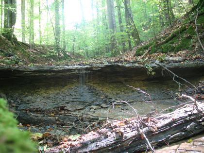 Wasserfallschichten der Opalinuston-Formation im Teufelsloch bei Bad Boll Blick auf einen niedrigen kleinen Wasserfall. Das breite Bachbett verläuft inmitten bewaldeter Hänge.