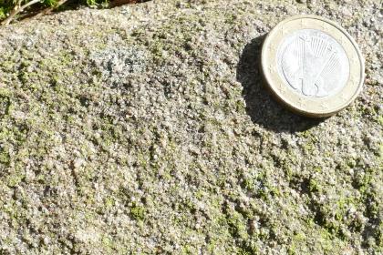 Sandstein der Felsgruppe Heidenstein bei Oberharmersbach. Sandstein der Felsgruppe Heidenstein bei Oberharmersbach.