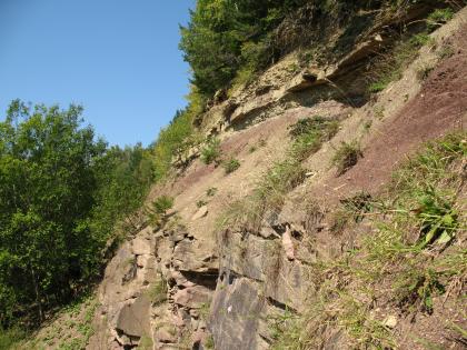 Oberer Buntsandstein, Glatten bei Freudenstadt Seitlicher Blick auf einen von rechts nach links abfallenden, teilweise bewachsenen, rötlich braunen bis hellbraunen Hang. Am Fuß des Hanges steht quaderförmiges Gestein an, oben gebanktes. Linke Seite und Kuppe des Hanges sind bewaldet.