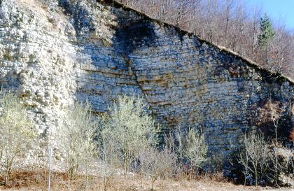 Störung in der Wohlgeschichtete-Kalke-Formation, Sonnenbühl-Genkingen Felsige Steinbruchwand mit horizontalen Schichten